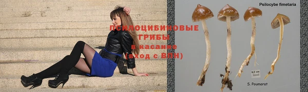твердый Балабаново