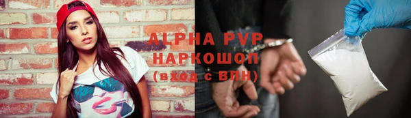 СК Балахна