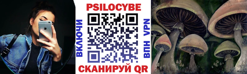Псилоцибиновые грибы Psilocybe  закладка  Краснотурьинск 